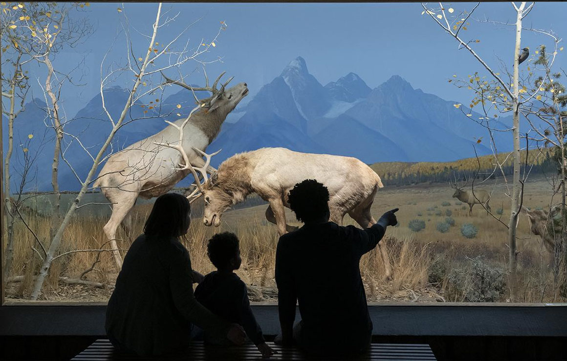 Milwaukee Public Museum