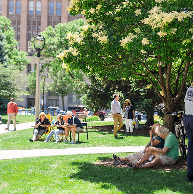 Folks lounging in Red Arrow Park on a sunny day.