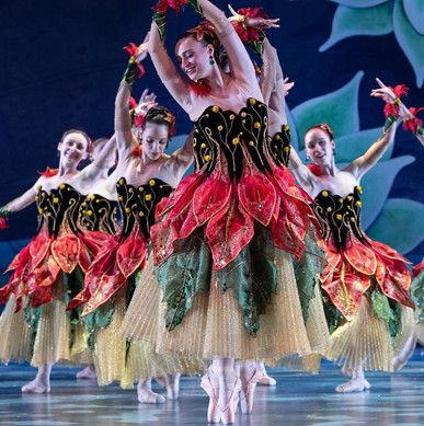 A group of ballerinas performing a dance.