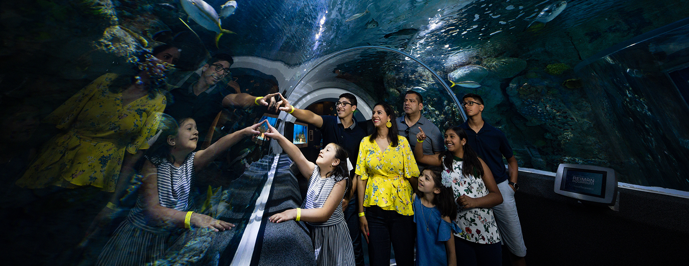 A family walks through an aquarium tunnel and points to the fish.