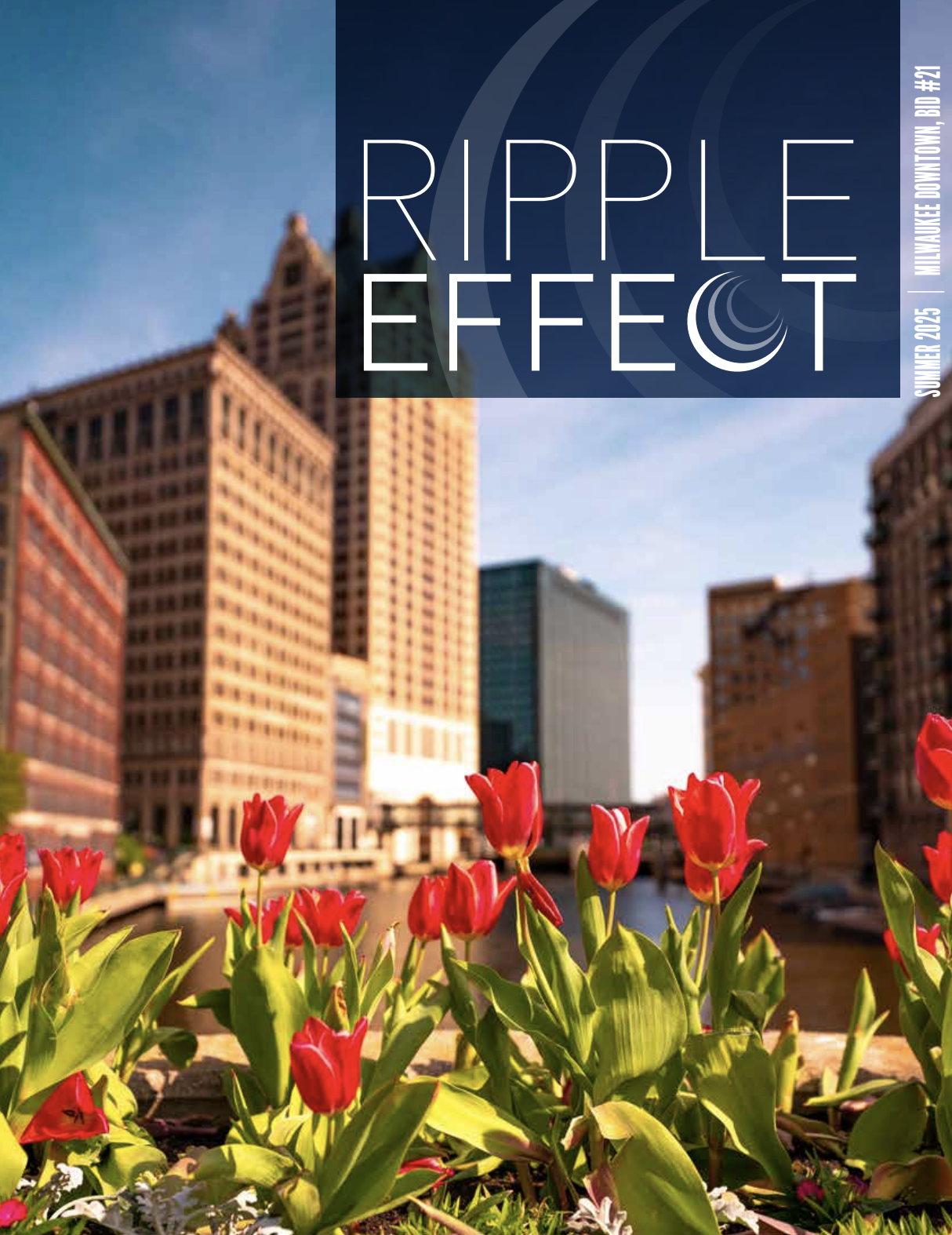 Cover of Ripple Effect.