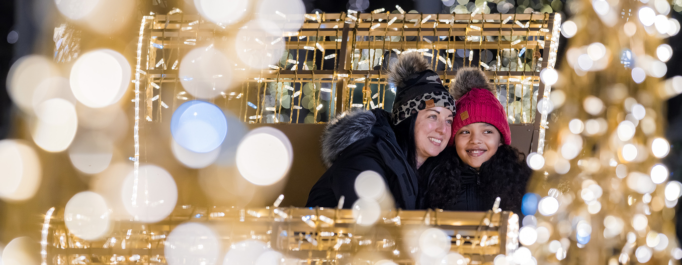 holiday-lights-banner