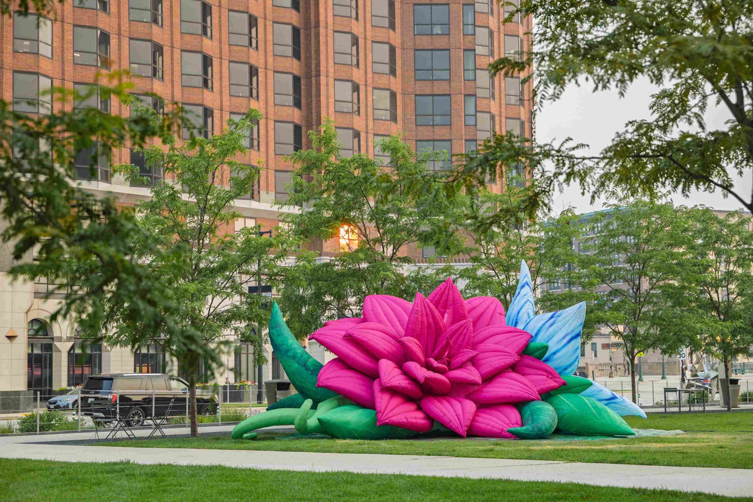 lost_photo lost flower installation by amanda parer