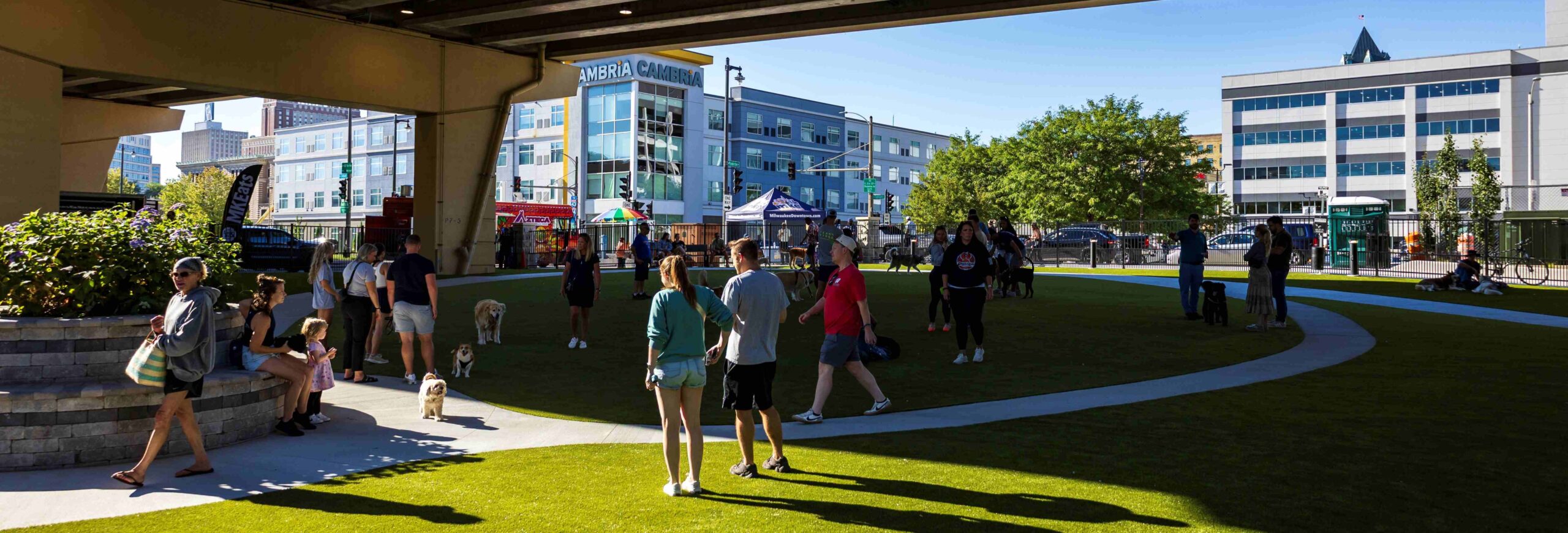 Downtown Milwaukee Dog Park with dogs in summer